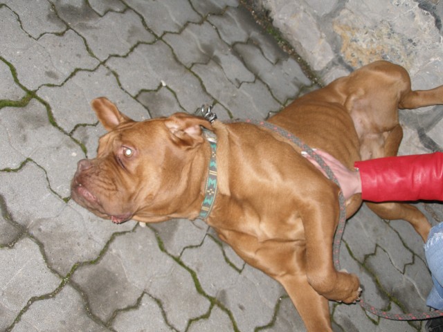 P2020136.jpg