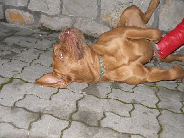 P2020135.jpg