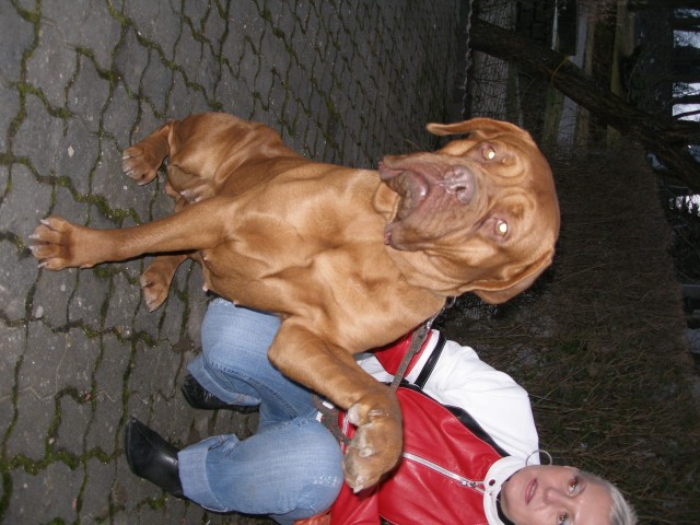 P2020119.jpg