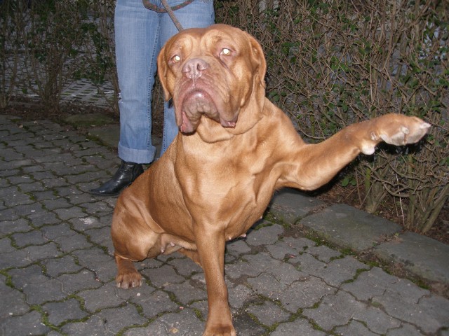 P2020111.jpg